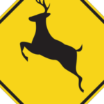 deer crossing