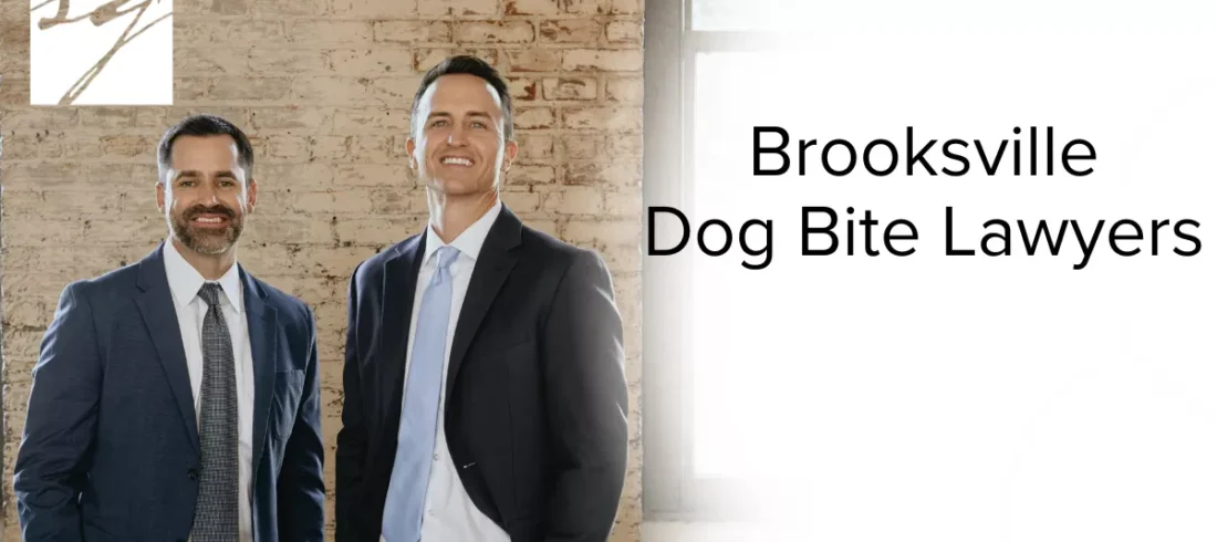 At Slater | Grant, our Brooksville dog bite lawyers are dedicated to providing aggressive, results-driven legal representation for dog bite victims. If you or a loved one has been attacked or injured by a dog in Brooksville or Hernando County, you may be entitled to significant compensation. Our experienced attorneys understand Florida’s dog bite laws and will fight to hold negligent dog owners accountable.