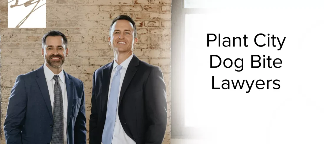 If you or your loved one has been injured by a dog bite in Plant City, Florida, it’s crucial to act quickly. The aftermath of a dog attack can leave lasting physical injuries, emotional trauma, and financial burdens. At Slater | Grant, our experienced Plant City dog bite lawyers are here to fight for the justice and compensation you deserve. We are dedicated to holding negligent dog owners accountable and ensuring our clients are never left to suffer alone.
