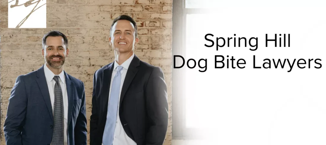 At Slater | Grant, our Spring Hill dog bite lawyers understand the devastating impact a dog attack can have on victims and their families. From physical trauma to emotional scars, the aftermath of a dog bite often extends far beyond the initial injury. If you or a loved one has been injured in a dog attack, you deserve aggressive representation, compassionate counsel, and a legal team that won’t back down. We are committed to helping victims pursue full and fair compensation for medical expenses, lost income, pain, suffering, and long-term care.