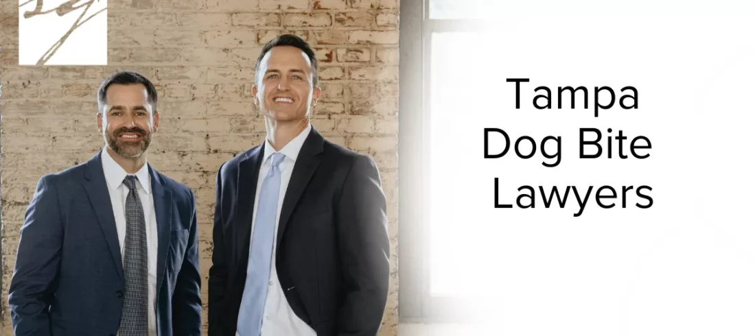 Dog attacks can leave victims physically scarred, emotionally traumatized, and financially burdened. At Slater | Grant, our dedicated Tampa dog bite lawyers fight relentlessly to ensure victims receive the full compensation they’re entitled to under Florida law. If you or a loved one has been bitten by a dog, you may have a valid legal claim against the dog’s owner or other responsible parties. We are committed to holding negligent pet owners accountable while advocating for your rights and recovery.